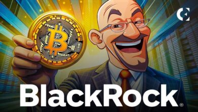 Fink de BlackRock: Bitcoin es una Clase de Activo, como el Oro - Descubre Más - Cripto Boom