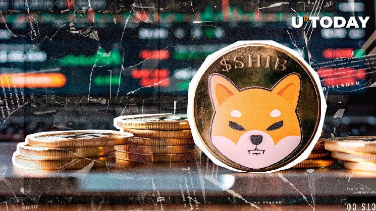 ¿Puede el Aumento de la Quema en Shibarium Impulsar la Recuperación de SHIB? Descúbrelo Aquí - Cripto Boom