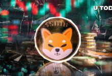 21641b6c43c4a98b6fa9 ¿Es posible un aumento del 200% para Shiba Inu (SHIB)? El historial de precios dice que sí, pero hay una trampa. ¡Descúbrela!