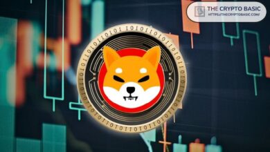 216e6d2e12bd70a071a8 Analista Predice que Shiba Inu Subirá a $0.00003260 Antes de lo Esperado: ¡Descubre Más!