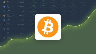 ¡Descubre por qué Bitcoin se cotiza un 13.89% por debajo de nuestra predicción para el 29 de octubre de 2024! - Cripto Boom