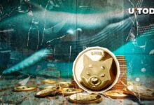 22030d3eafd35f944bb9 Descubre la Misteriosa Actividad de Ballenas de $2 Millones en Shiba Inu (SHIB) en una Importante Bolsa de EE.UU.