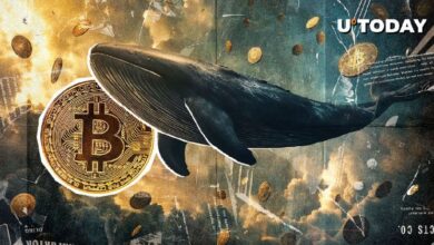 23fedd4c2b9e922cd7e3 Ballena de Bitcoin de la Era de Satoshi Despierta con Ganancias del 169,358,650%: ¡Descubre los Detalles!