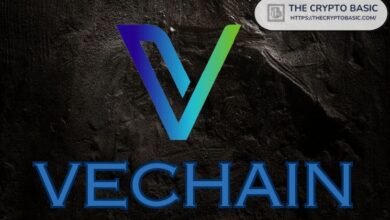 24523d6639fab37ff35a VeChain Impulsa su Ecosistema tras Asegurar Nueva Patente en EE.UU. ¡Descubre Más!