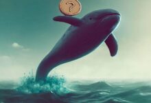 Ballenas de Criptomonedas Apuntan a Este Altcoin: Datos Onchain Revelan Acumulación Reciente ¡Descubre Más! - Cripto Boom