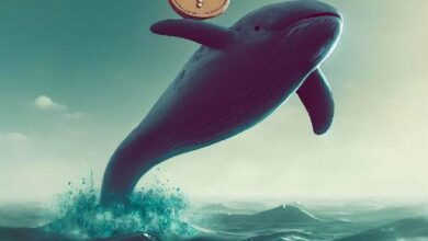 Ballenas de Criptomonedas Apuntan a Este Altcoin: Datos Onchain Revelan Acumulación Reciente ¡Descubre Más! - Cripto Boom