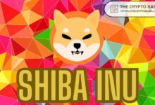 27989cba6d917a7a3e8f Descubre Cuánto Puedes Ganar con Shiba Inu en Distintos Países si SHIB Alcanza $0.0008