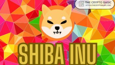 27989cba6d917a7a3e8f Descubre Cuánto Puedes Ganar con Shiba Inu en Distintos Países si SHIB Alcanza $0.0008