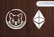 28f6c362cd18b46535a7 Shiba Inu podría alcanzar $0.000053865 si iguala la capitalización de Ethereum: ¡Descubre cómo!