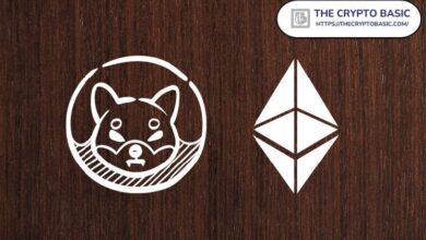 28f6c362cd18b46535a7 Shiba Inu podría alcanzar $0.000053865 si iguala la capitalización de Ethereum: ¡Descubre cómo!