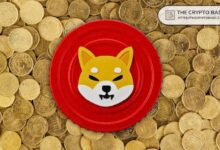 2900a09f8c51fe25999f Shiba Inu Revela Nuevo Socio Financiero para Impulsar a SHIB al Siguiente Nivel - Descubre Más