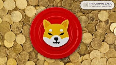 2900a09f8c51fe25999f Shiba Inu Revela Nuevo Socio Financiero para Impulsar a SHIB al Siguiente Nivel - Descubre Más