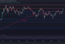 2ab5041a0e746267c44a BTC puede alcanzar un nuevo récord histórico si supera este obstáculo: Análisis de precio de Bitcoin - Descubre cómo lograrlo