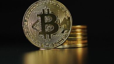 2ac8e56f2173238fa124 Precios de Bitcoin Alcanzan su Punto Más Alto Desde Finales de Septiembre: Descubre los Factores que Impulsan las Ganancias