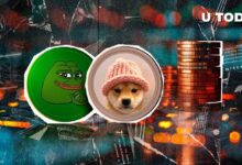 Principales Monedas Meme: WIF y PEPE en Caída, pero Este Experto Tiene una Visión Optimista ¡Descubre Más! - Cripto Boom