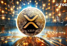 XRP Alcanzó el Segundo Lugar entre las Criptomonedas Hace 10 Años: ¡Descubre los Detalles! - Cripto Boom