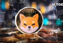 2c9f949a0efe76ad184e Actualización de Gobernanza de Shiba Inu: Miembro del Equipo Revela Desarrollos Cruciales - Descubre los Detalles Clave