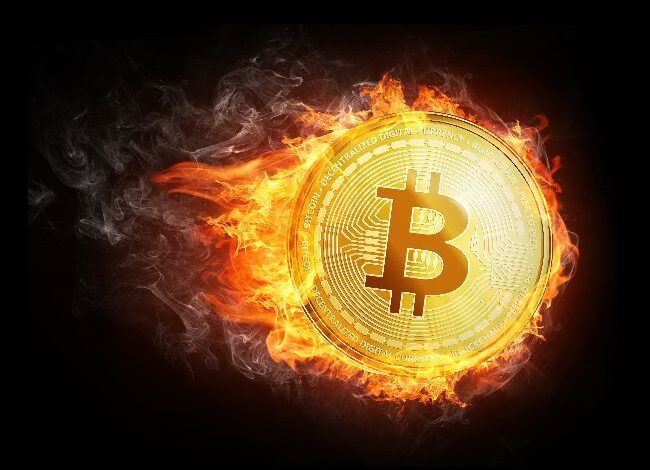 2eb4becda73653333b5b BTC Muestra Patrón Familiar: ¡El Estocástico Indica un Gran Rally!