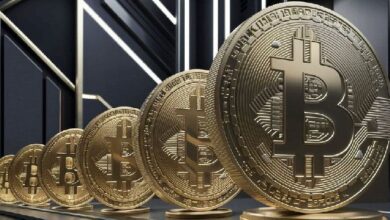 El Dominio del Mercado de Bitcoin Alcanza su Máximo en 3 Años—Descubre Qué Significa Esto - Cripto Boom