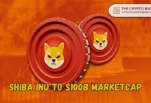 2edda56981596aa51998 Experto Predice Capitalización de Mercado de $100B para Shiba Inu con Apuesta Fuerte: Proyección de Precio de SHIB si Esto Sucede, ¡Descúbrelo!