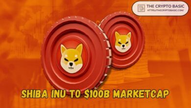 2edda56981596aa51998 Experto Predice Capitalización de Mercado de $100B para Shiba Inu con Apuesta Fuerte: Proyección de Precio de SHIB si Esto Sucede, ¡Descúbrelo!