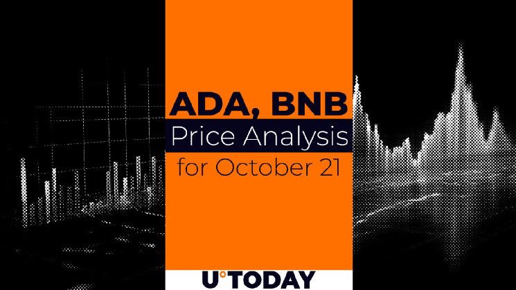 2fdf5b1b9cd78eb0831b Predicción de precios de ADA y BNB para el 21 de octubre: ¡Descubre las tendencias actuales!