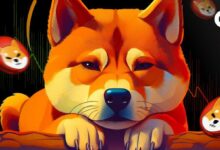 3004e45ace12416a0b48 La Volatilidad de Shiba Inu (SHIB) Aumenta: Invierte Inteligentemente mientras los Inversores Trasladan Tokens a los Intercambios