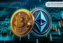 3067df764a51d65d97e5 Experto Predice: Ethereum Podría Debilitarse en el Q4 pero Recuperarse en 2025 Mientras ETH/BTC se Acerca a su Punto Mínimo - Descubra Más