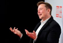 ¡Descubre cómo el token de eficiencia gubernamental de Musk (DOGE) alcanza un valor de $52 millones! - Cripto Boom