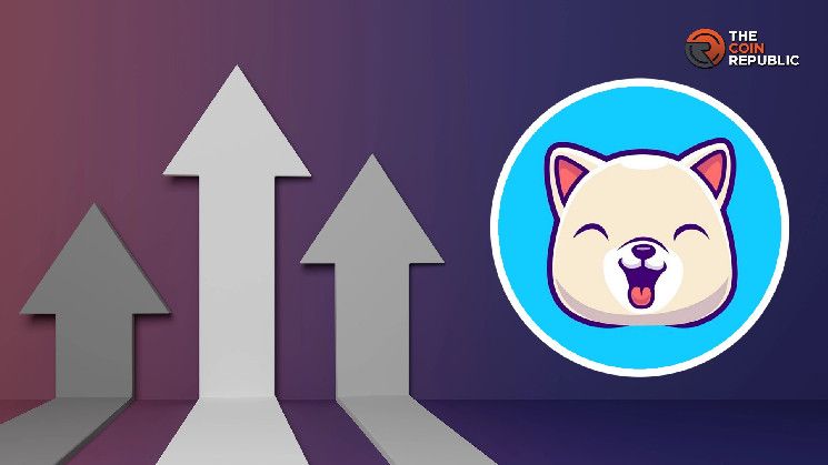 Kishu Inu Aumenta un 3.62%: Analistas Prevén Crecimiento Fuerte Hasta 2028 ¡Descubre Más! - Cripto Boom