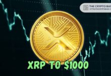 Descubre el Exchange que Predice a XRP Alcanzando los $1,000 - Cripto Boom