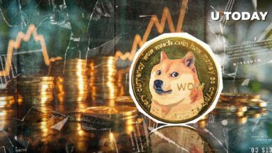 Dogecoin (DOGE) Apunta a una Ruptura de Varias Semanas con un Salto de Volumen del 95% - ¡Descubre Más! - Cripto Boom