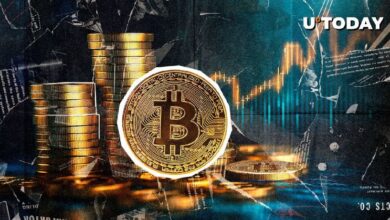 Bitcoin (BTC) Despega: ¡Descubre los 3 Niveles de Precio Clave a Observar Ahora! - Cripto Boom