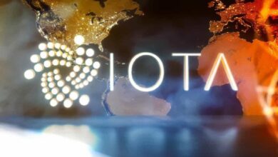 IOTA se une al stablecoin multicartera en impulso DeFi: ¡Descubre qué significa para los inversores! - Cripto Boom