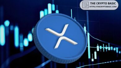 3a1f51517e9dd3a46d87 Lo que Impulsaría el Nuevo Movimiento Masivo de XRP, Según un Experto - Descúbrelo Aquí