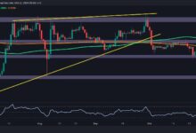 Análisis del Precio de Ripple: ¿Calma Antes de la Tormenta para XRP tras una Caída Semanal del 6.5%? ¡Descubre Más! - Cripto Boom