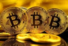 3b395f012f194e684b9c Ballenas de Bitcoin Crecieron Significativamente Durante la Última Caída: Datos Revelan Acumulación de Grandes Inversores ¡Descubre Más!