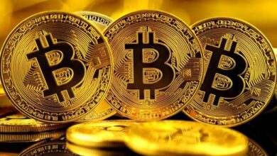 Ballenas de Bitcoin Crecieron Significativamente Durante la Última Caída: Datos Revelan Acumulación de Grandes Inversores ¡Descubre Más! - Cripto Boom