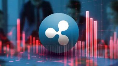 3b4ae67ec8fdb9ca7327 El CEO y Cofundador de Ripple en Desacuerdo Sobre la Política de EE. UU. - Descubre Más