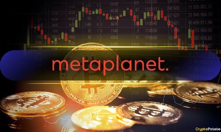 Metaplanet Aumenta sus Reservas de Bitcoin a Más de 1,000 BTC tras Última Compra – Descubre Más Aquí - Cripto Boom