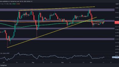 3c58e944b35edc48e1a4 Análisis del Precio de Ripple: ¿Es Posible un Gran Rally de XRP por Encima de $0.6? ¡Descúbrelo Aquí!