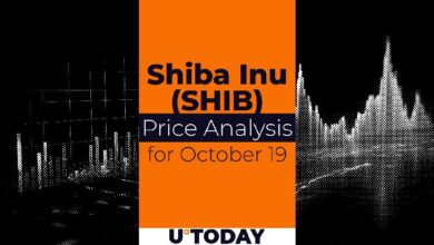 Predicción del Precio de SHIB para el 19 de Octubre: ¡Descubre Más! - Cripto Boom