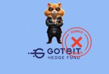 3dc73c2f7e1f92f82f45 Hamster Kombat desmiente su relación con Gotbit: Descubre la verdad ahora