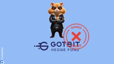 3dc73c2f7e1f92f82f45 Hamster Kombat desmiente su relación con Gotbit: Descubre la verdad ahora