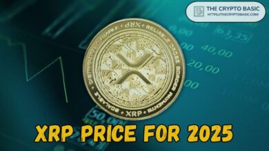 Experto Predice Precio de XRP para 2025 si Solana Alcanza $600: ¡Descubre el Potencial! - Cripto Boom