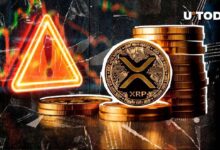 Comunidad de XRP Recibe Advertencia Crucial: ¿De Qué Se Trata? ¡Descúbrelo! - Cripto Boom