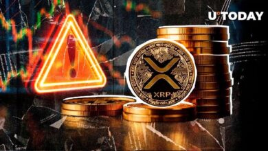 Comunidad de XRP Recibe Advertencia Crucial: ¿De Qué Se Trata? ¡Descúbrelo! - Cripto Boom