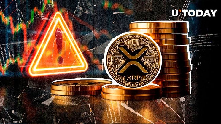 Comunidad de XRP Recibe Advertencia Crucial: ¿De Qué Se Trata? ¡Descúbrelo! - Cripto Boom