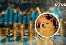 3efa21b70d8ced77eec6 ¡Auge Masivo de $1.17 Mil Millones en DOGE en 24 Horas! ¿Pero Por Qué Cae un Indicador Clave?