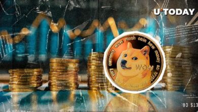 3efa21b70d8ced77eec6 ¡Auge Masivo de $1.17 Mil Millones en DOGE en 24 Horas! ¿Pero Por Qué Cae un Indicador Clave?